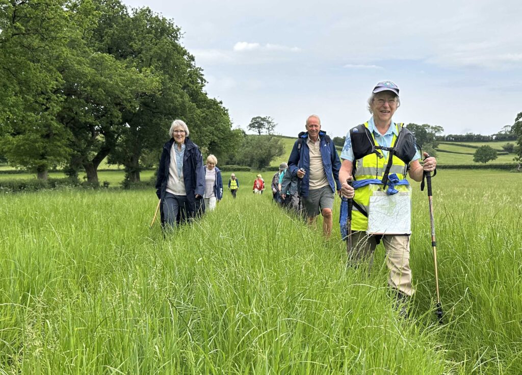 Walking through the crops