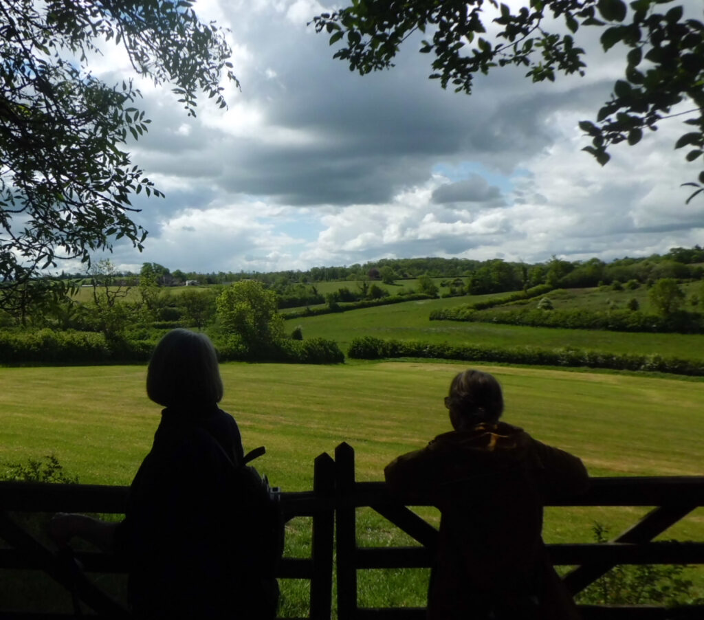 Looking across the fields