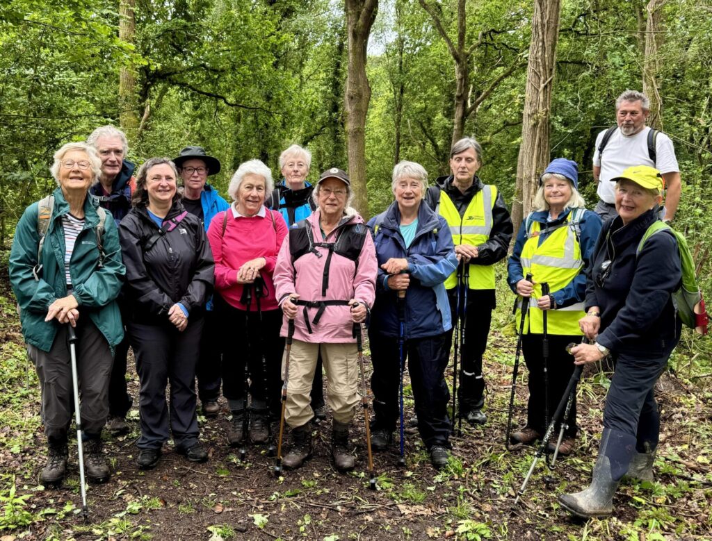 The group in Lords Wood